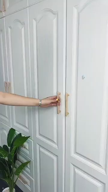 Multipurpose Wall-Mounted Cabinet Storage Organizer – Plastic Utility Holder (Pack of 1)