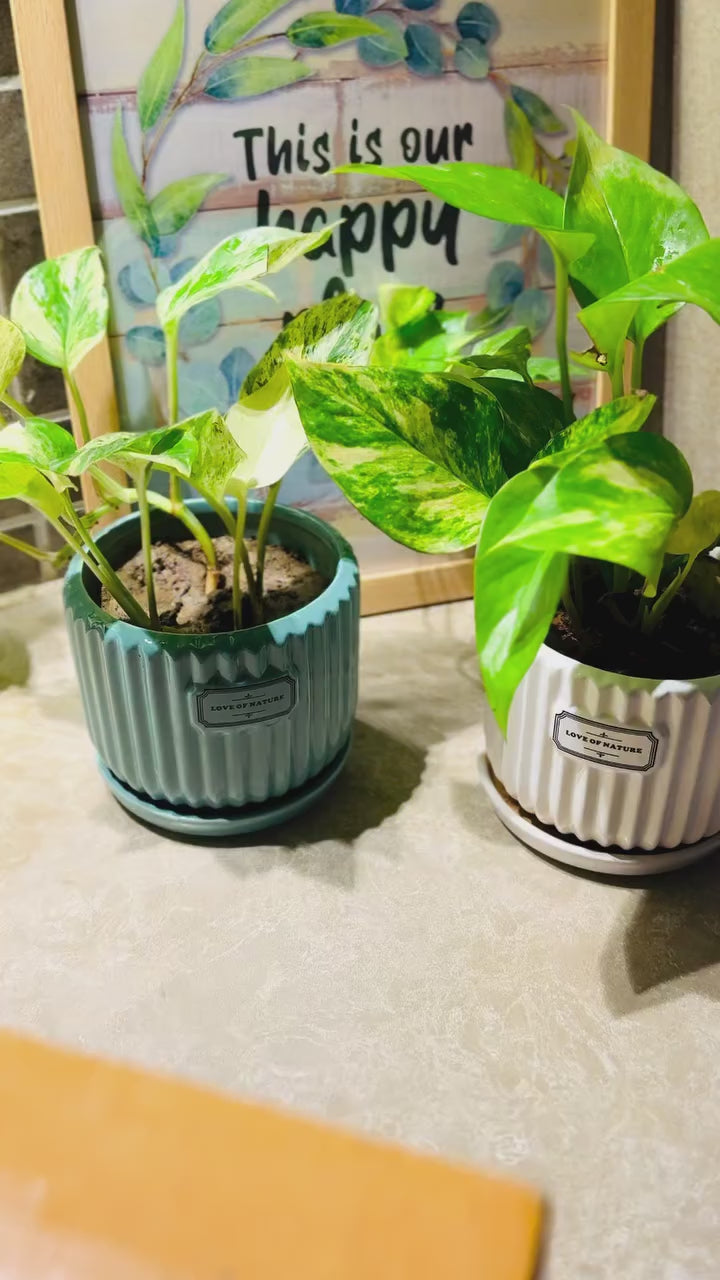 Cartoon Themed Tap Faucet Extender – Cute Kids Handwashing Aid